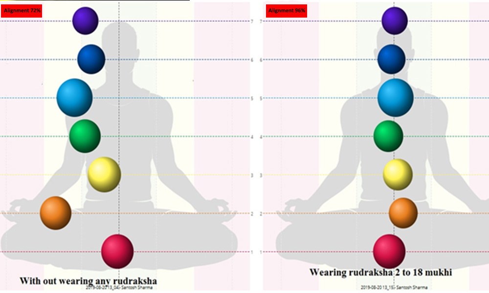 Effects of Rudraksha on chakras