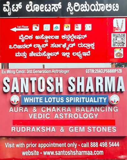 Vedic Astrology